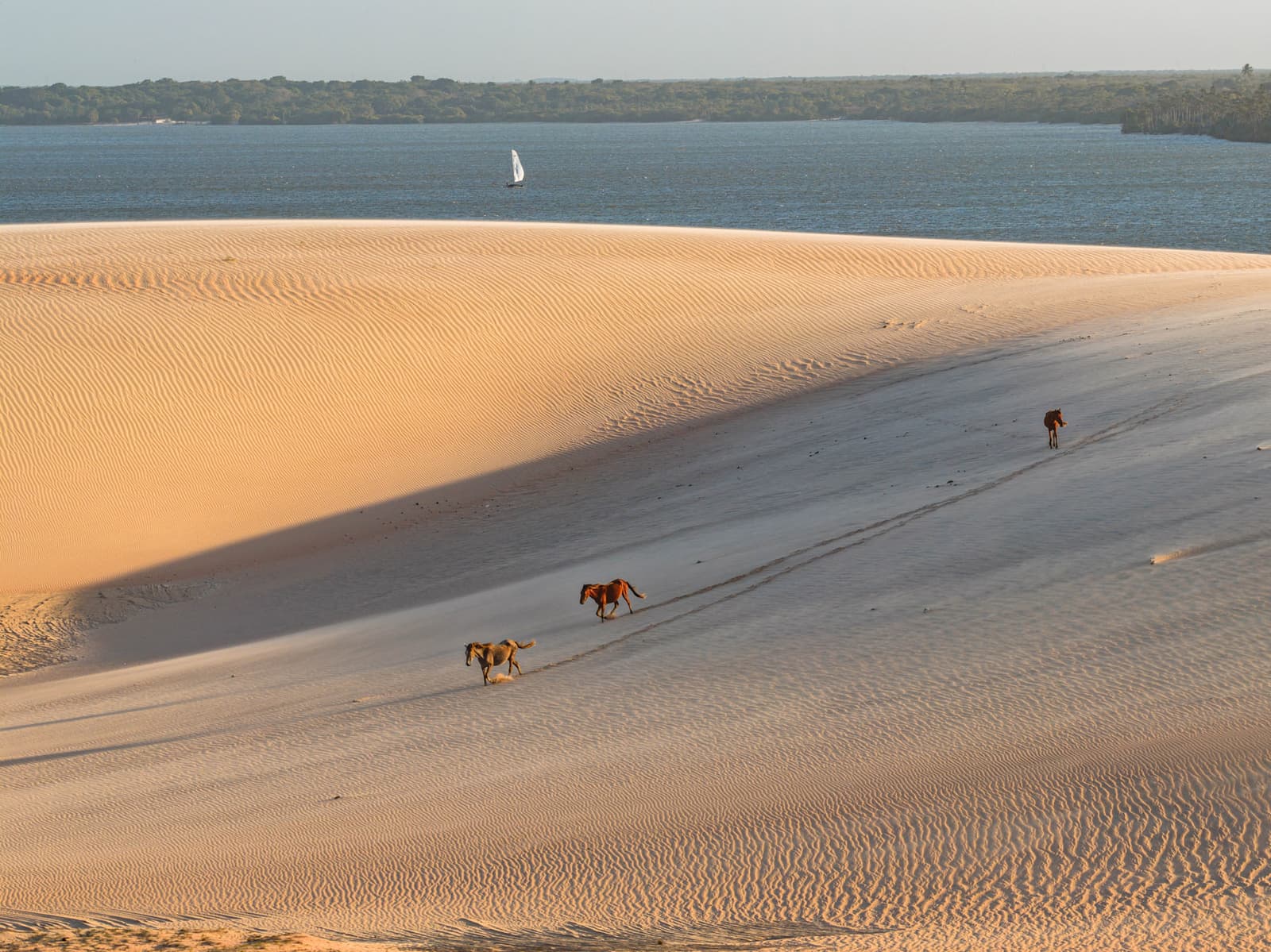 As dunas da Lagoa da Torta, no entorno de Moréias